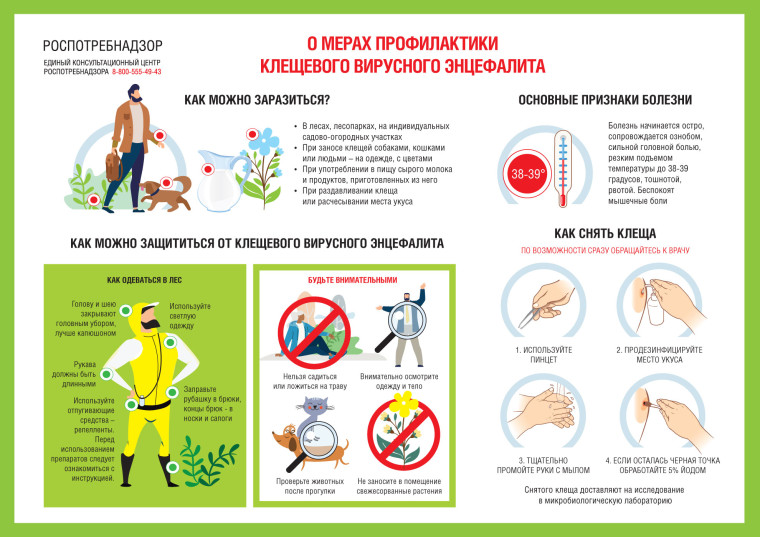 Клещевой энцефалит.